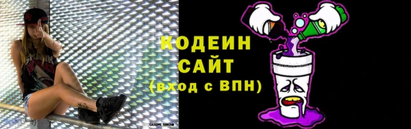 эйфоретик Арсеньев