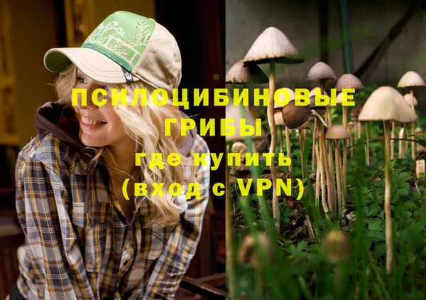 эйфоретик Арсеньев
